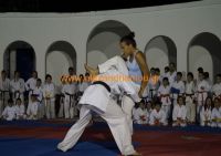 karate (4) (Αντιγραφή)